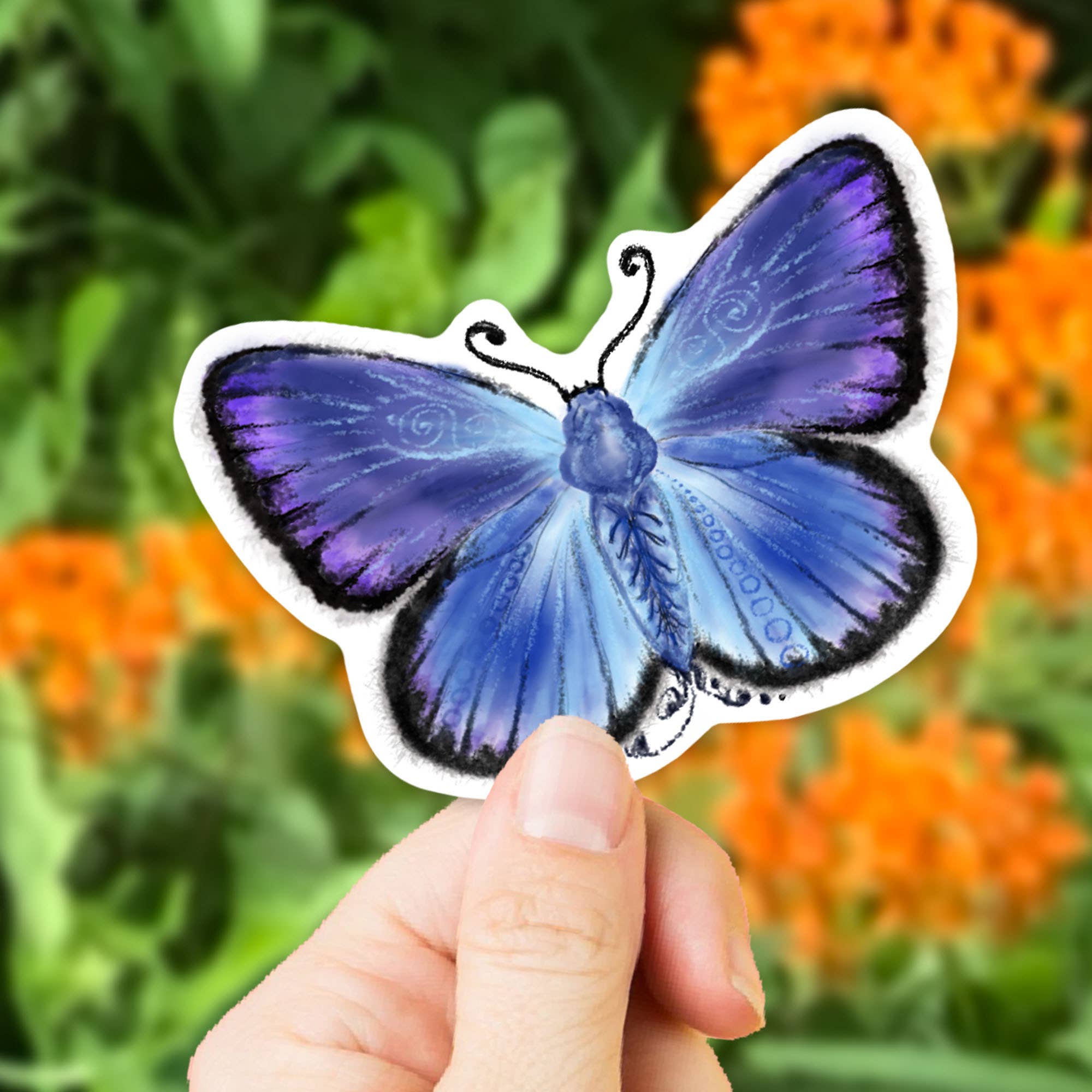 Katekreates – Engroshandel Klistermærke – Karner Blå Butterfly Sticker, Natur Sticker, State Insekt2