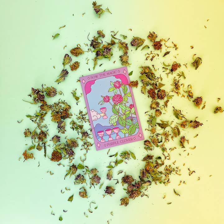 Sow the Magic - Venta al por mayor Semillas de plantas - Tarot Garden de trébol morado+paquete de semillas de regalo