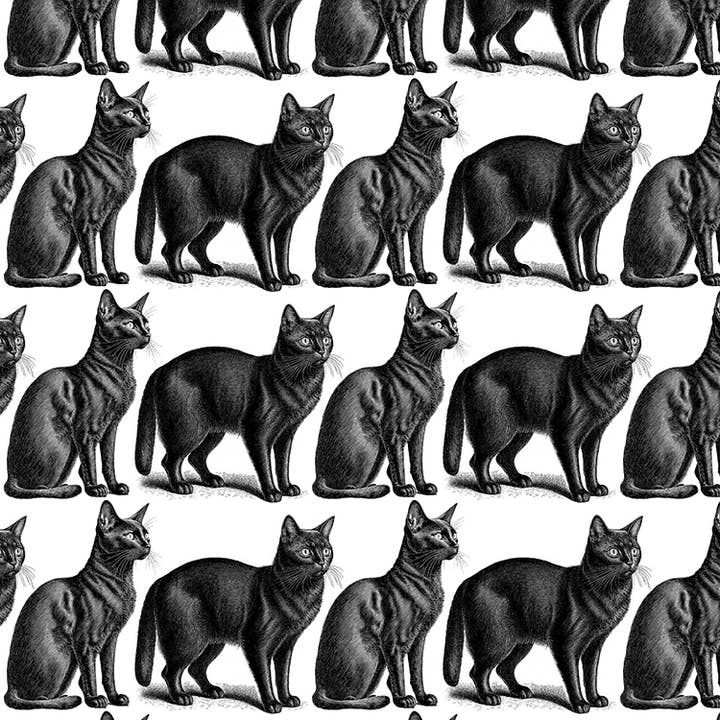 Rubyzaar - Wholesale Purse/Bag Accessory - Unisex - BC Beach Bag2