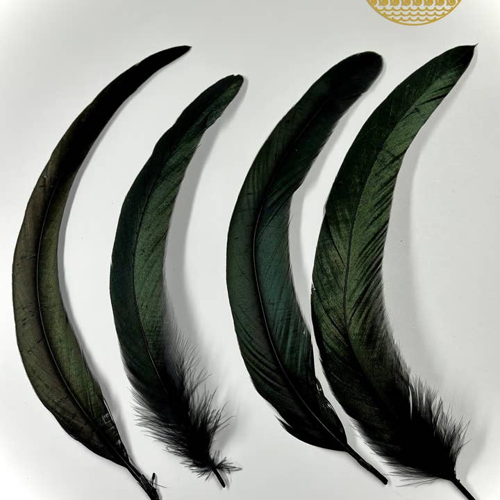 Faiza Naturals - Wholesale Sage bundle - Black Feathers for Smudging1