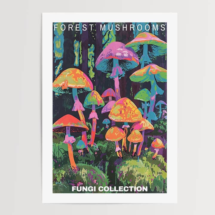 Poster Cogumelo Florestal por atacado de Enchanted Sights