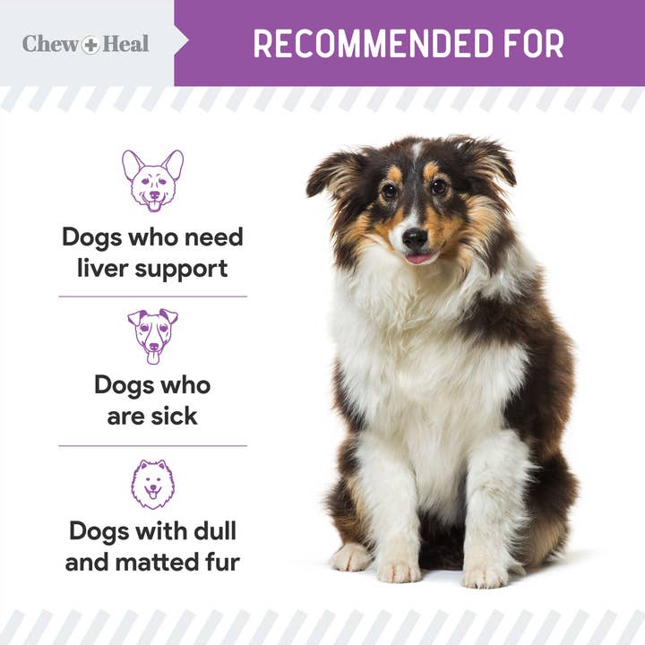 Chew + Heal - Wholesale Pet Supplement - Dog - Milk Thistle Tincture with Moringa & Salmon Oil for Dogs