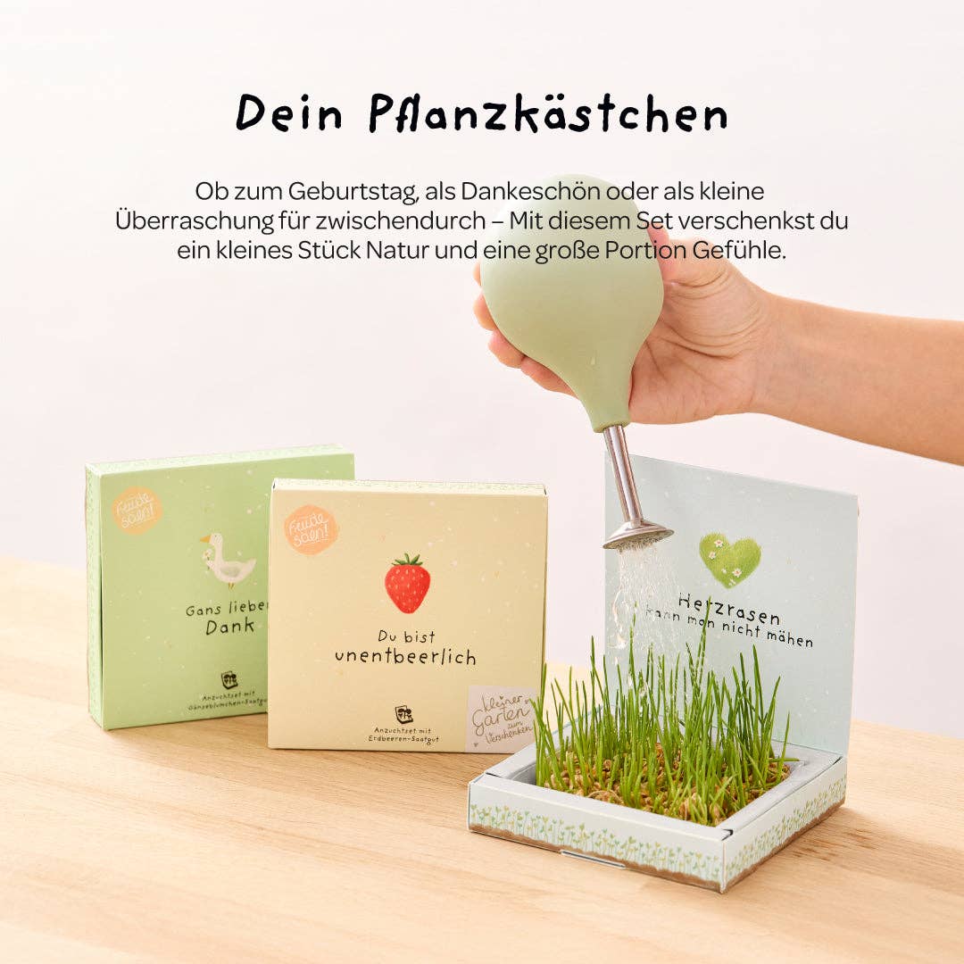 TDJ Stadtgärtner GmbH - Wholesale Plant Seeds - Planter box - Thank you for growing4