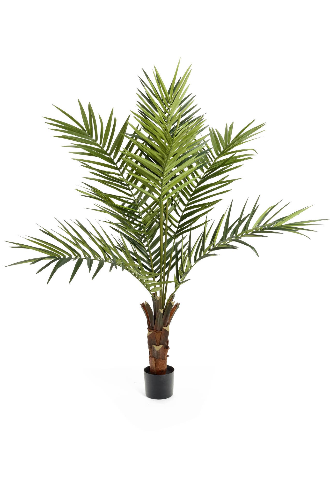 Studio Specialties - Wholesale Artificial Plant - PALM TREE KING KENTIA W/BK POT 6'