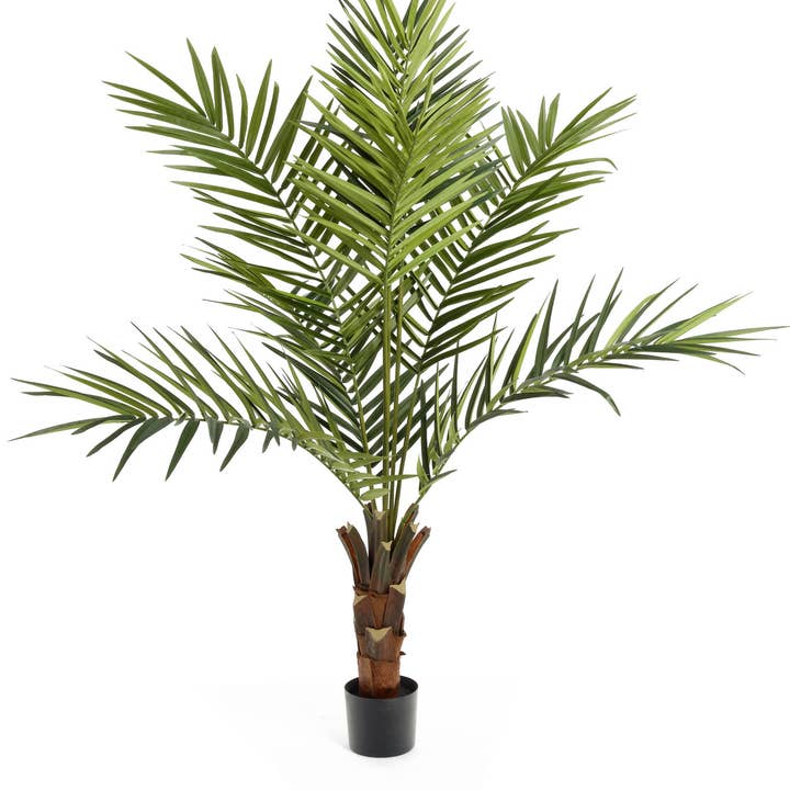 Studio Specialties - Wholesale Artificial Plant - PALM TREE KING KENTIA W/BK POT 6'0