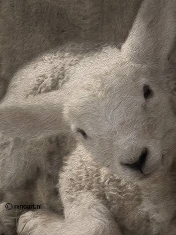 Houten deco bordje Lammetje L08 voor wholesale door Nino-Art