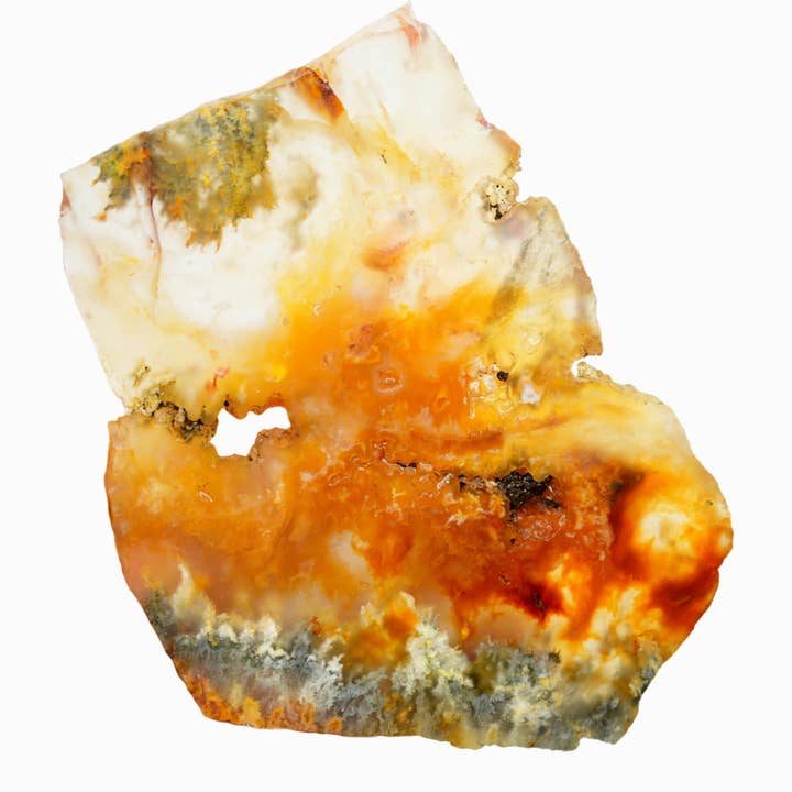 Laje de Ágata Pluma de Graveyard Point - Plumas de Marcasite por atacado de Lapidary Central