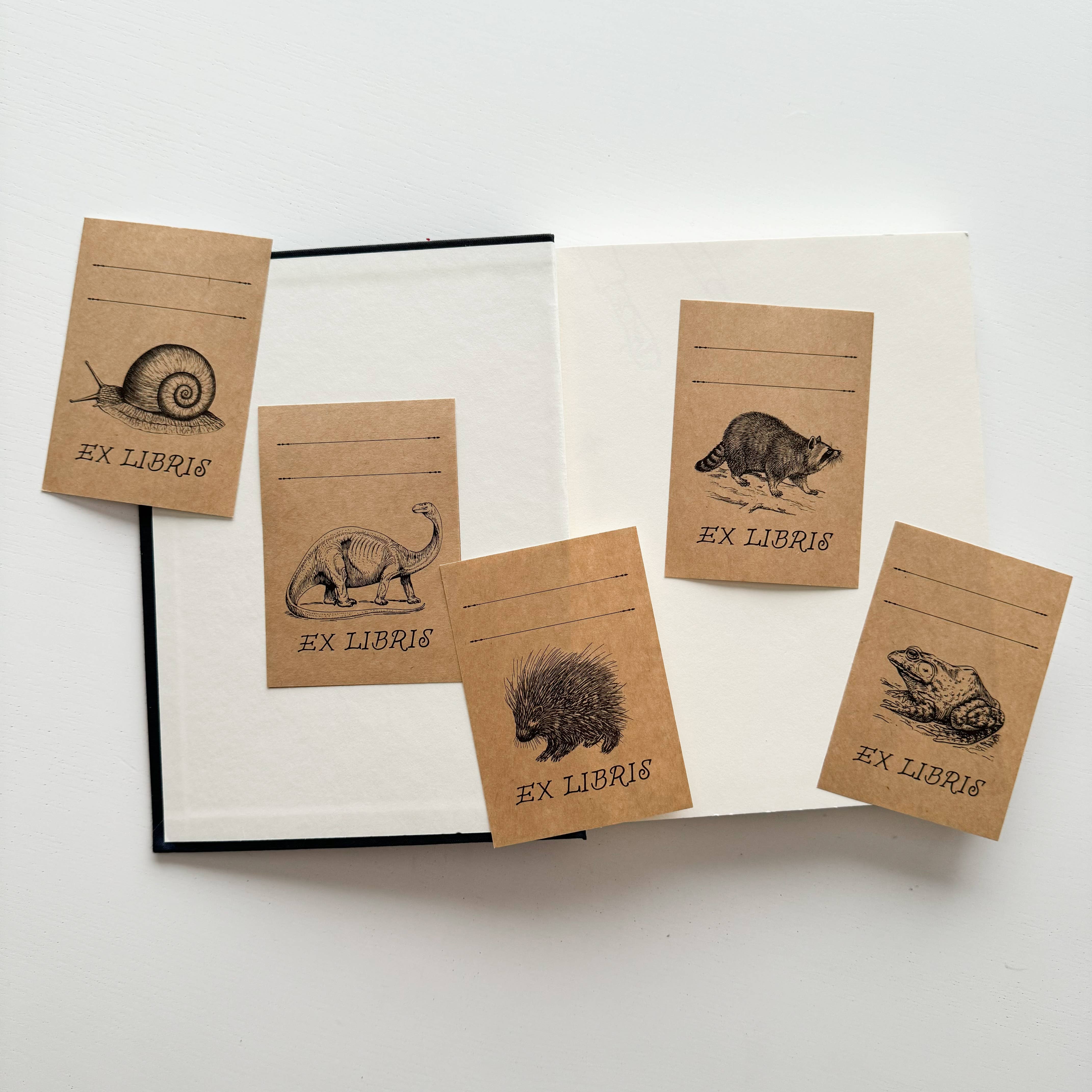 Kinsfolk Stickers - Wholesale Sticker - Bookplate Name Label Sticker - Porcupine1
