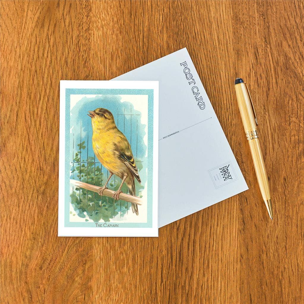 Found Image Press - Wholesale Postcard - Postcard BD-14 Canary1