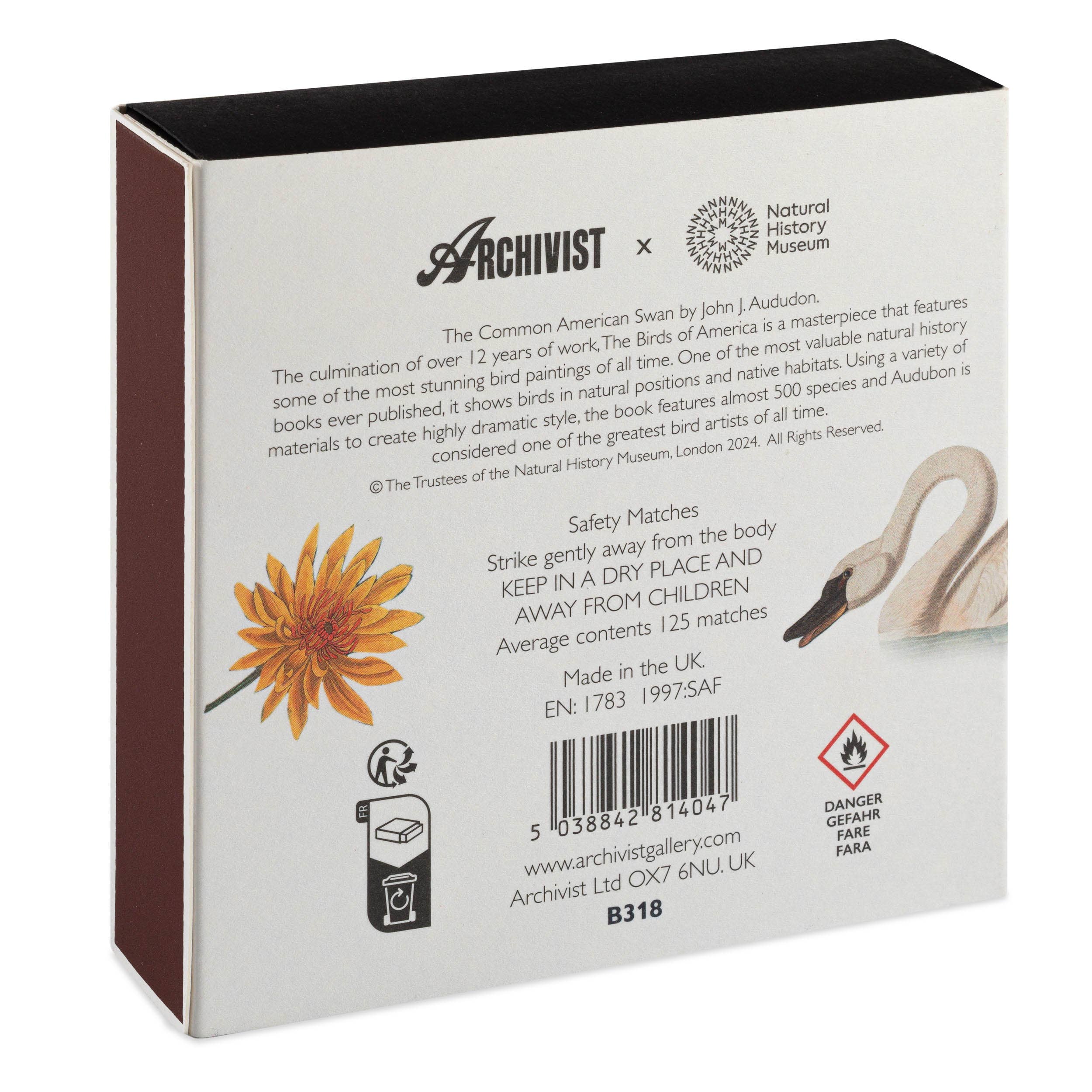 Archivist Gallery | United States - Wholesale Matches - The Common American Swan  | Square - Safety Matches2