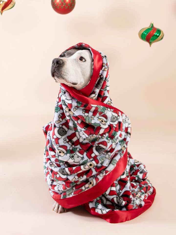 Santa Paws Deken voor wholesale door Darren & Phillip