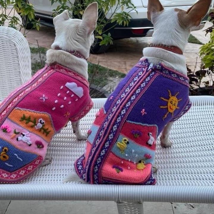 MODA LATINA - Wholesale Pet jumper – Dog - peruvian dog jumpers zip-up-the-back luxury dog sweater.
