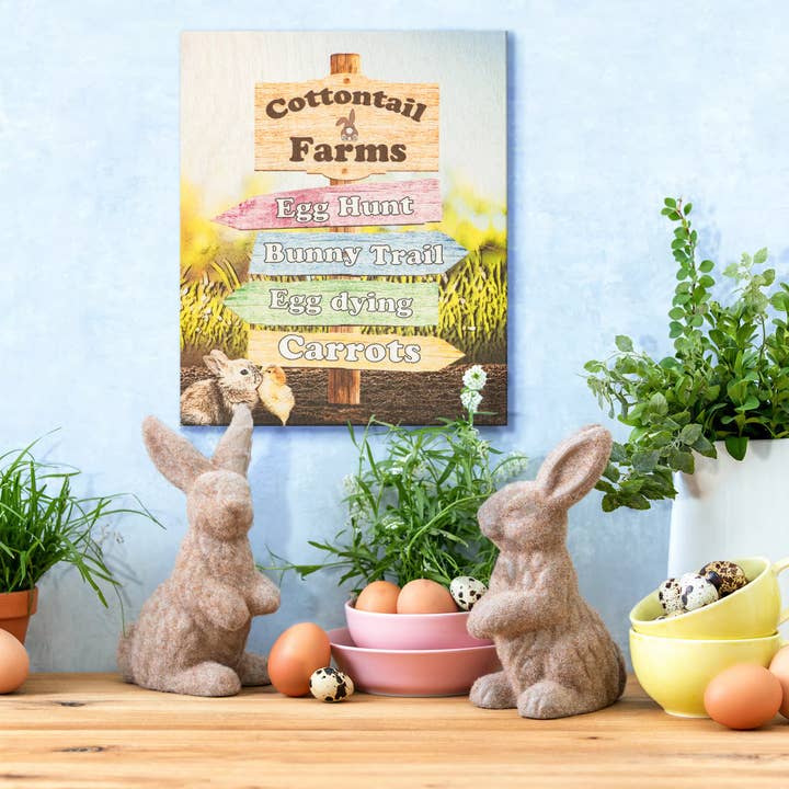 JennyGems - Wholesale Sign - Cottontail Farms Easter Decor Wooden Sign, Spring Decoration4