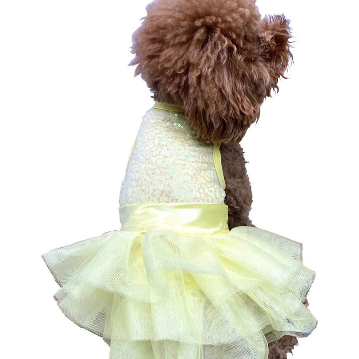 The Dog Squad - Vente Robe – chien - Robe tutu pour chien Zsa Zsa en jaune citron
