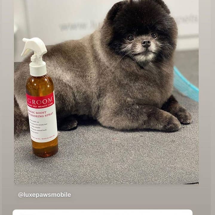 iGroom - Wholesale Pet Spray - Dog - Magic Boost Scissoring Spray 8oz