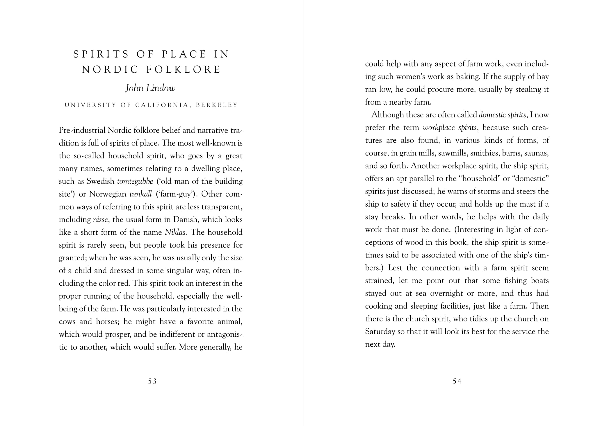 Hyldyr - Wholesale Nature & Outdoors - Lady Elder Tree: Northern Animism and Witchcraft4