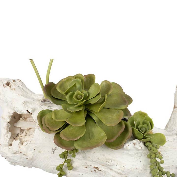 A&B Home Group Inc. - Wholesale Artificial Plant - S/4 Maline Succulent1