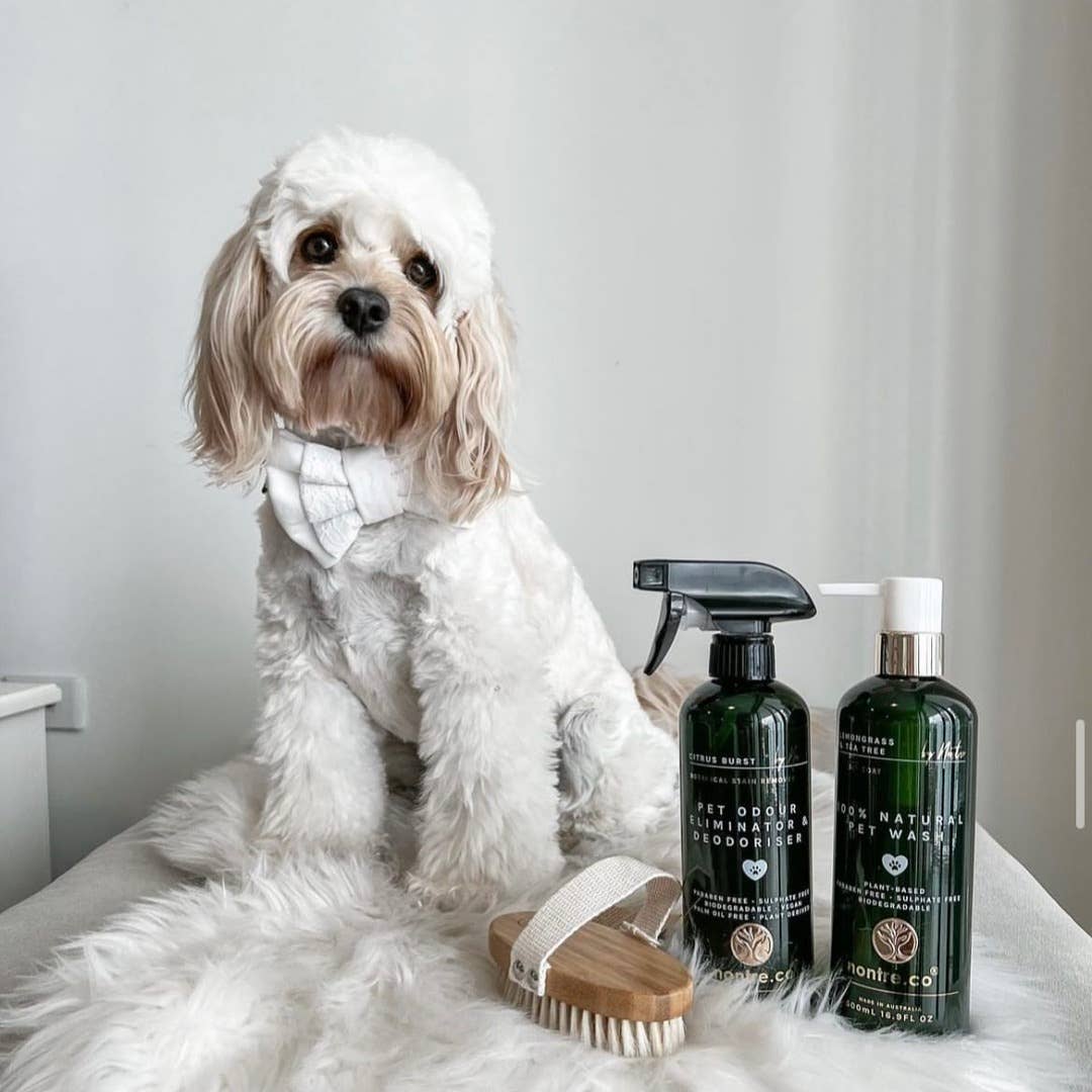 nontre.co - Wholesale Pet Cleaning Supplies - Pet Wash 500ML, 100% Naturally Protective4