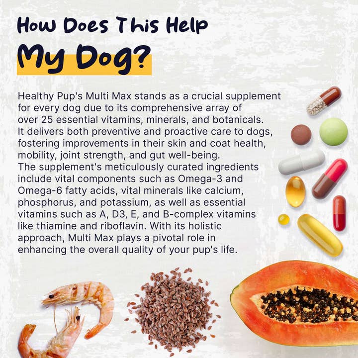 Chew + Heal - Wholesale Pet Supplement - Dog - Healthy Pup Multi Max All-In-One Dog Multivitamin, 120 count