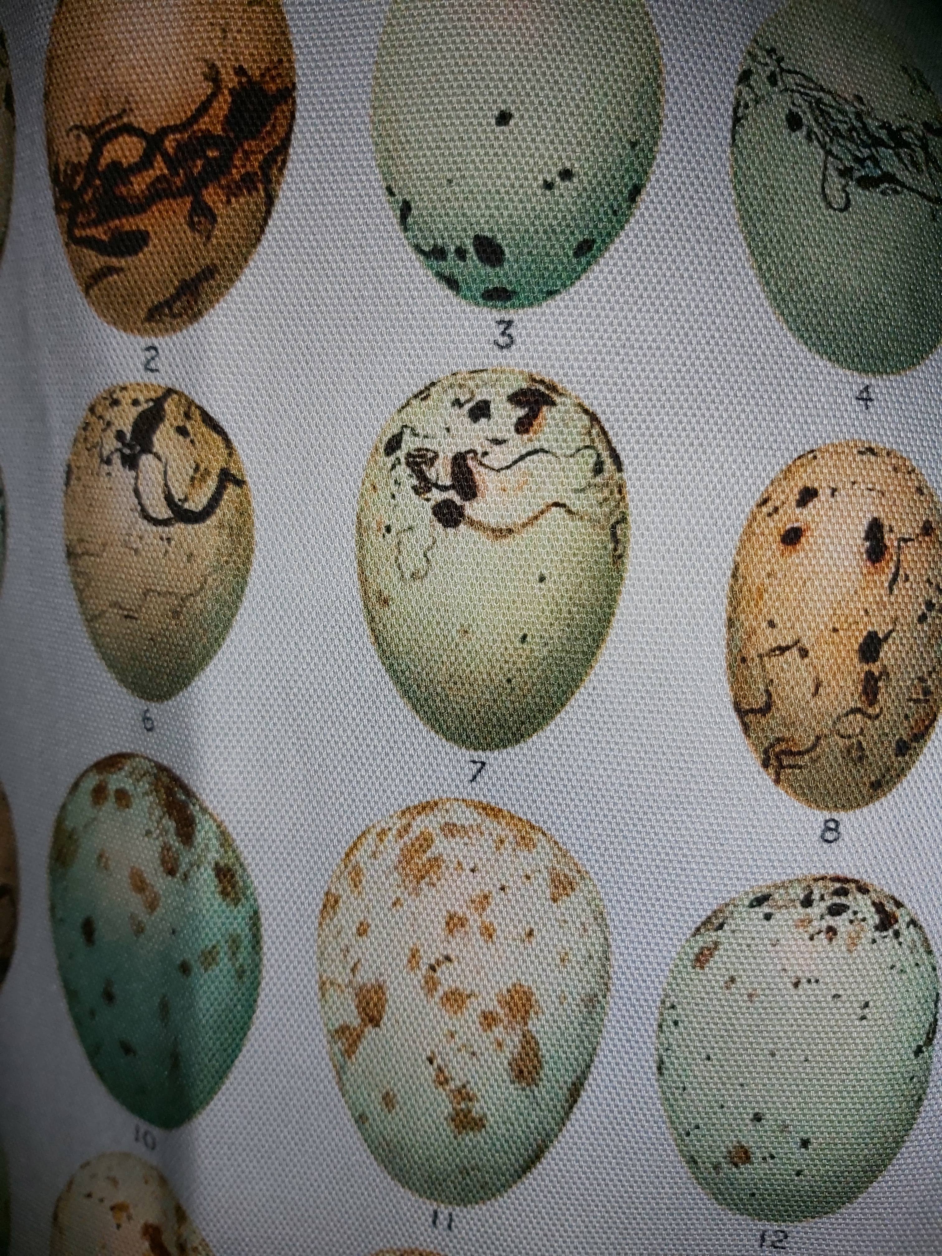 Wanda Coyne Collection - Wholesale Theedoek - Theedoek met antieke print Eggs 1901 Ornithology Aqua1