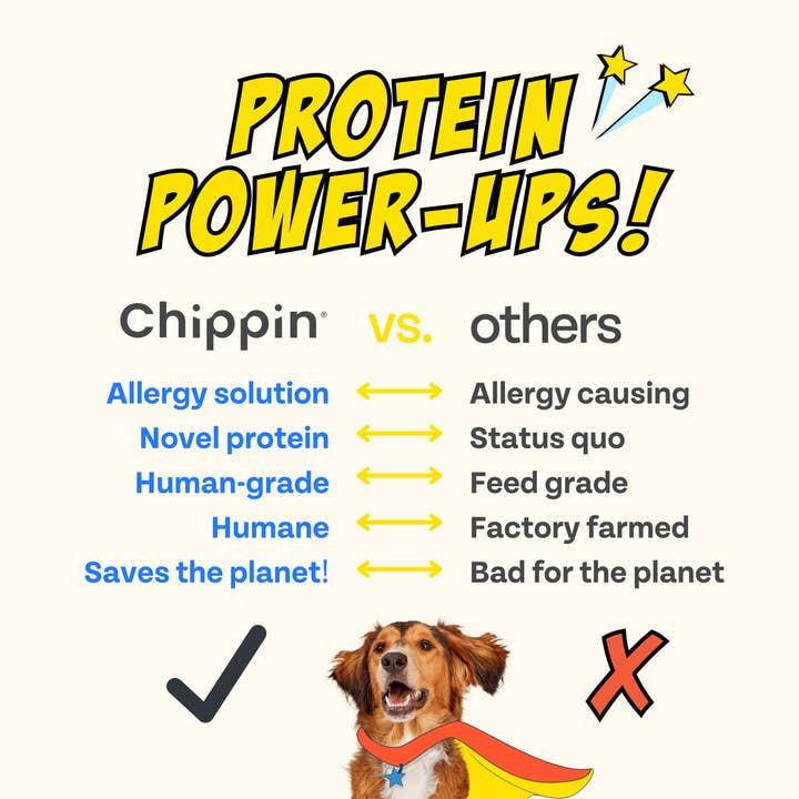 Chippin - Wholesale Pet Treats - Dog - Veggie Dailies Kale Carrot Spirulina Dog Treats5