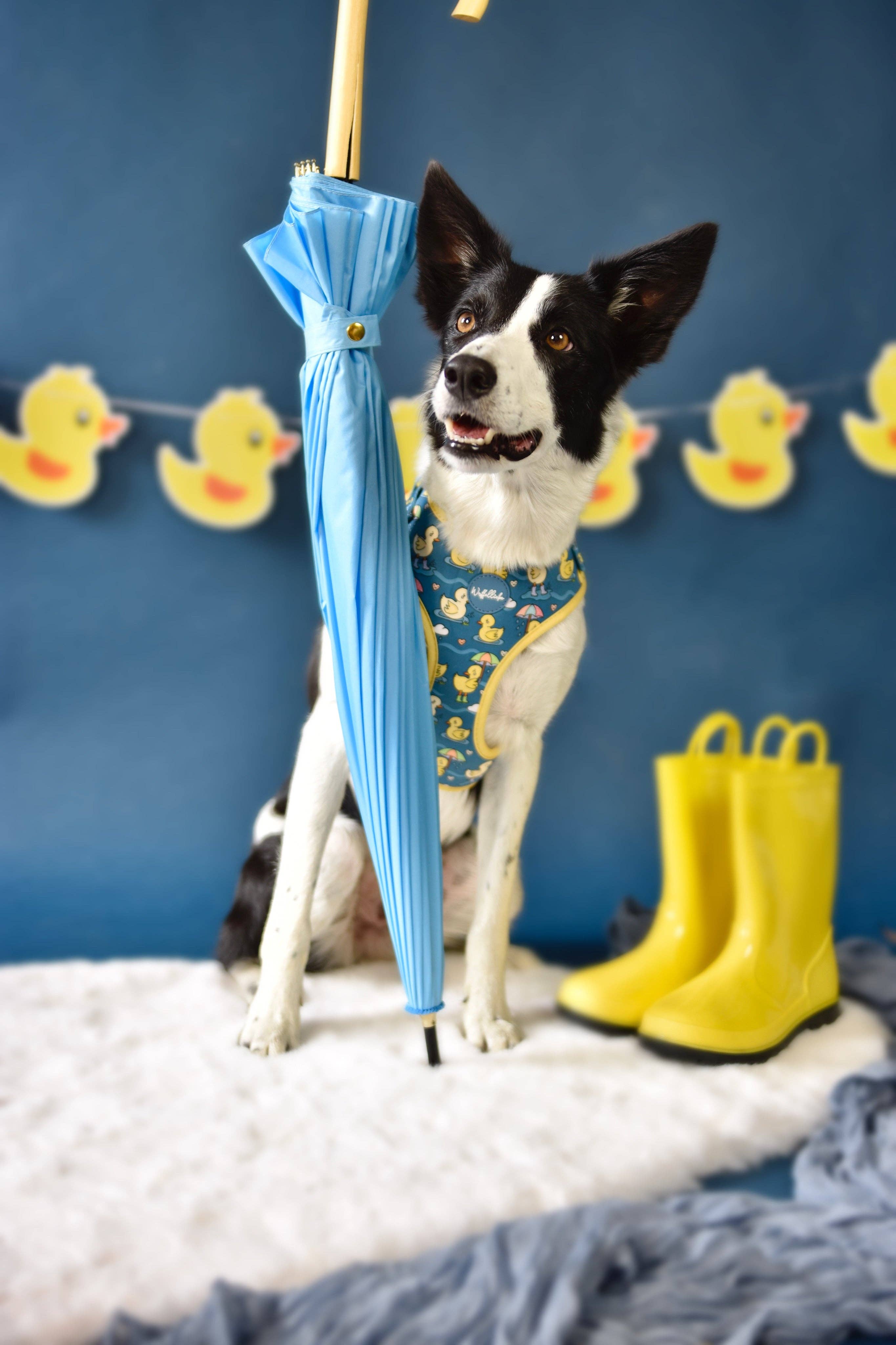 Wuffelliebe - Wholesale Pet Harness - Dog - You Quack me Up - Tableware2