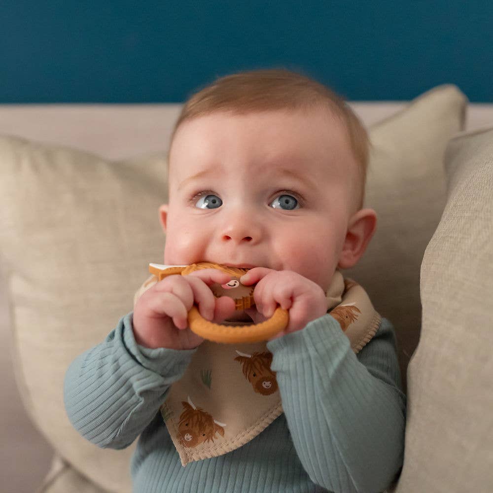 Ziggle Baby - Wholesale Bandana Bib - Highland Cow print bib1