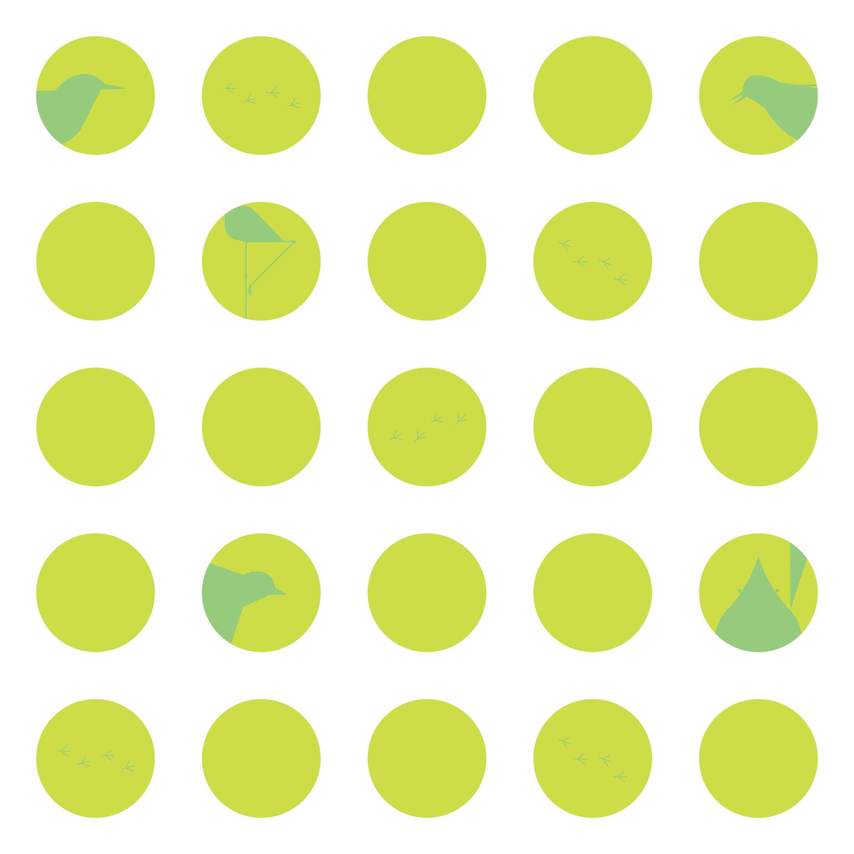 Pomegranate - Wholesale Board Game - Charley Harper’s Bird Bingo4