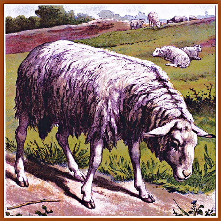 Sheep for wholesale by Mandala Baby