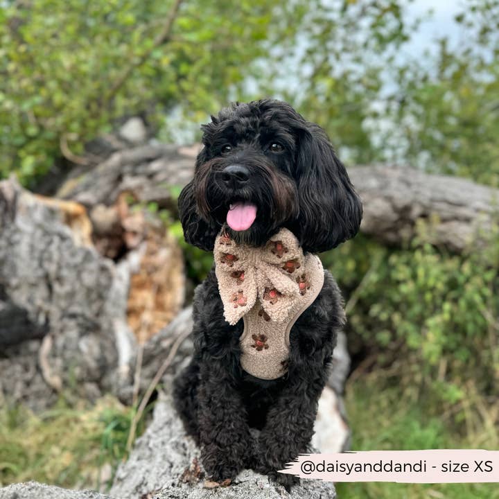 Cocopup London - Wholesale Pet Harness - Dog - Theo Embroidered Teddy Adjustable Neck Harness21