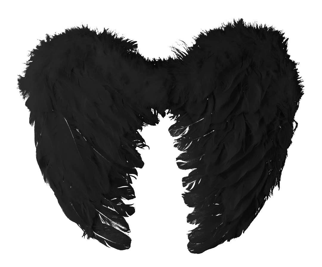 P'tit Clown - Wholesale Costume - Women's - Feather Angel Wings - 40 X 32 cm - Black0