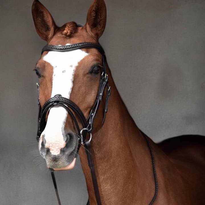 EPONIA EQUESTRIAN LIFESTYLE - Wholesale Horseback Riding Gear - Bridle with classic braided details - Italian leather