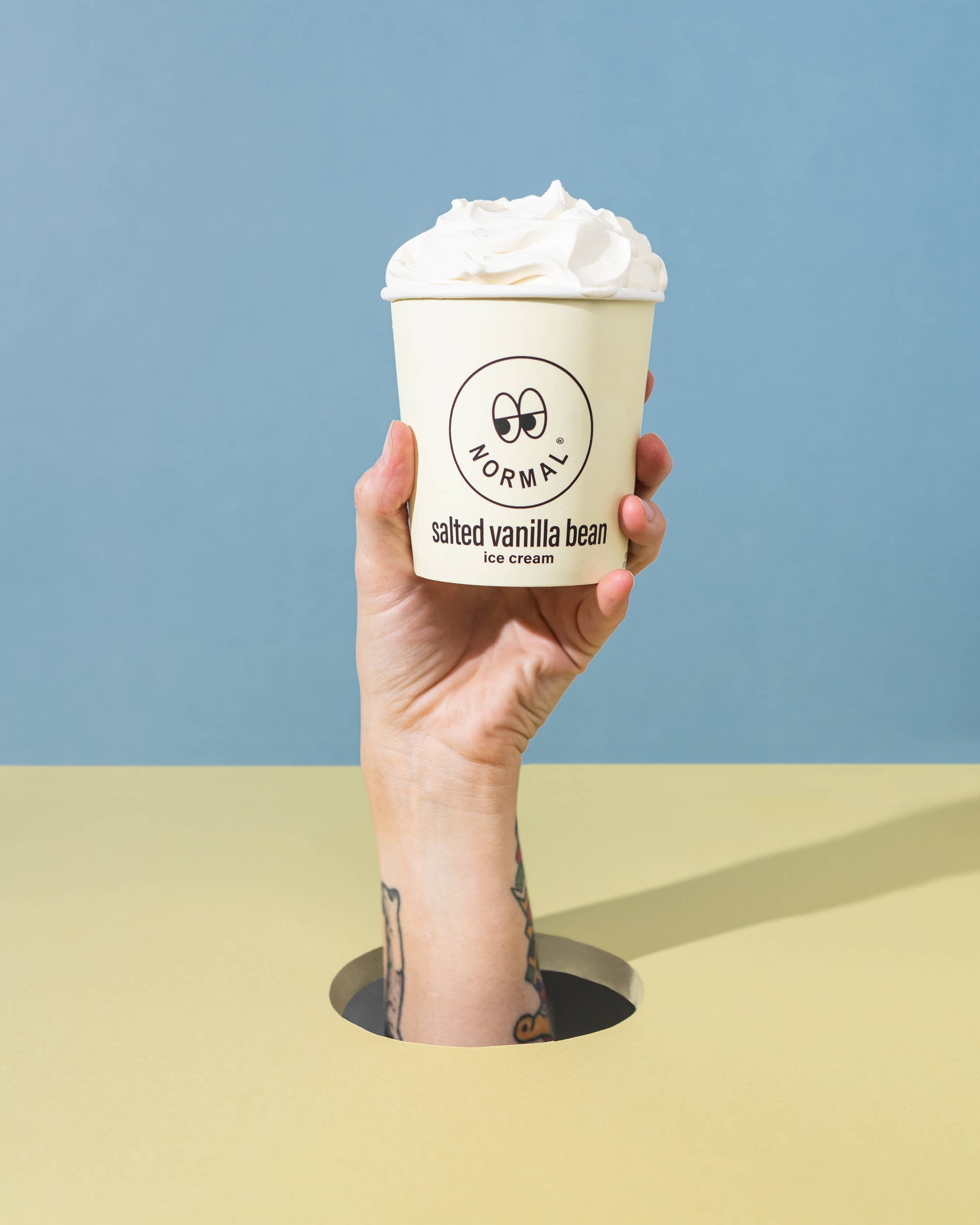 normal® ice cream - Wholesale Ice Cream/Sorbet - salted vanilla bean ice cream1