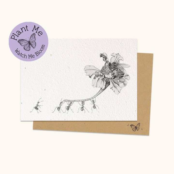 Plantable Greeting Card - Safe to bee (honey bee) for wholesale by Laura Luke