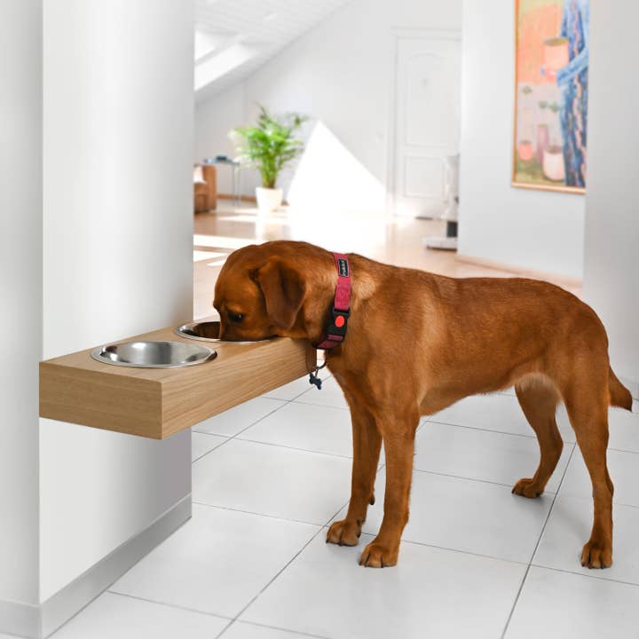 ValiaiDesign – Engroshandel Madskål - Kat/hund – Hængende træ hund feeder, Monteret pet fodring station2