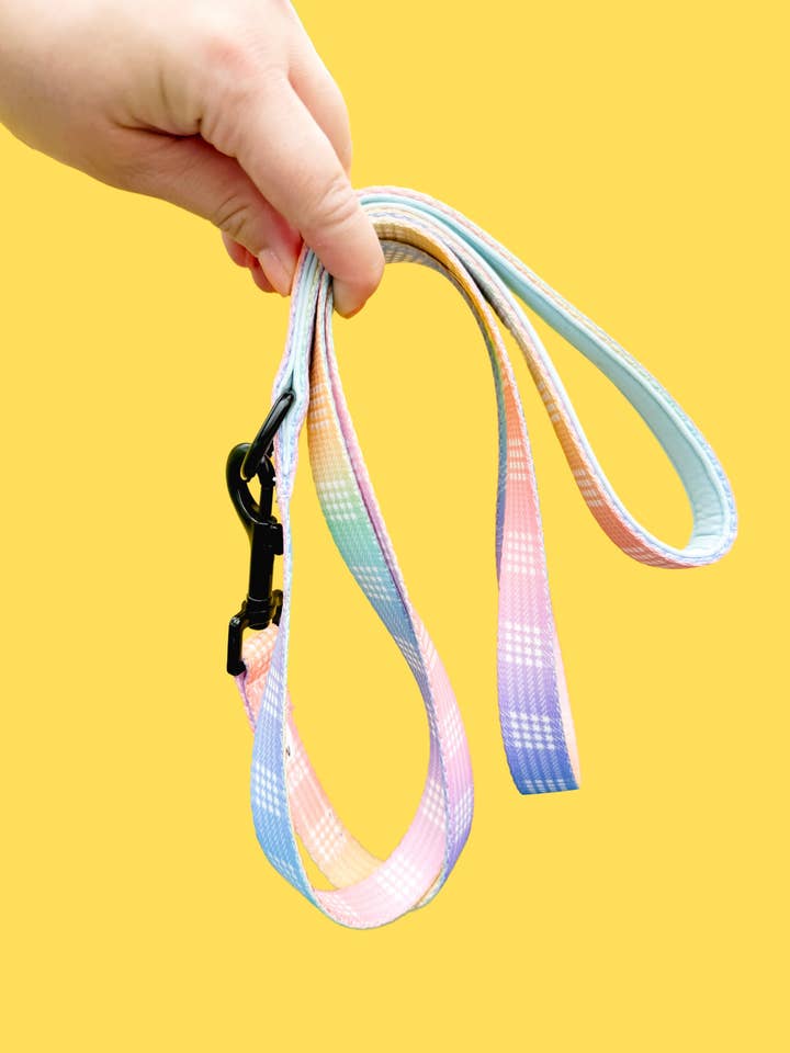 Guinzaglio Anuenue Rainbow Palaka per la vendita all'ingrosso da parte di COOPMONSTERS