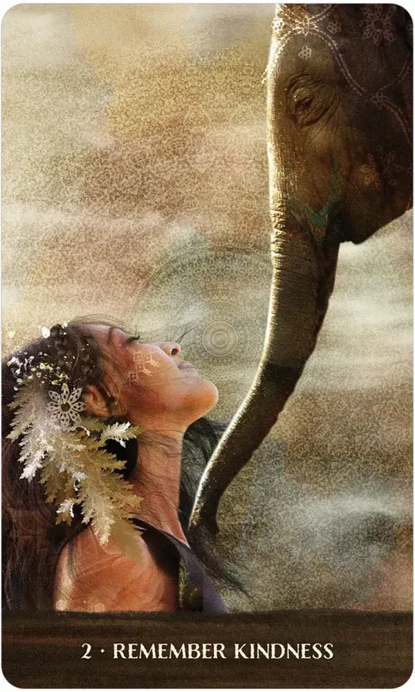 U.S. Games Systems Inc. - Wholesale Tarot Cards - Wild Woman Rising2