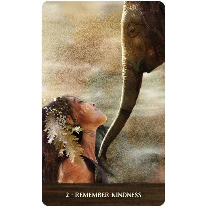 U.S. Games Systems Inc. - Wholesale Tarot Cards - Wild Woman Rising2