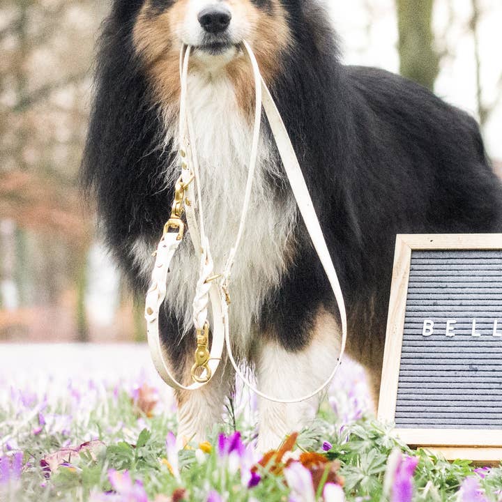 Biothane Deluxe Collar - White for wholesale by Bellkami