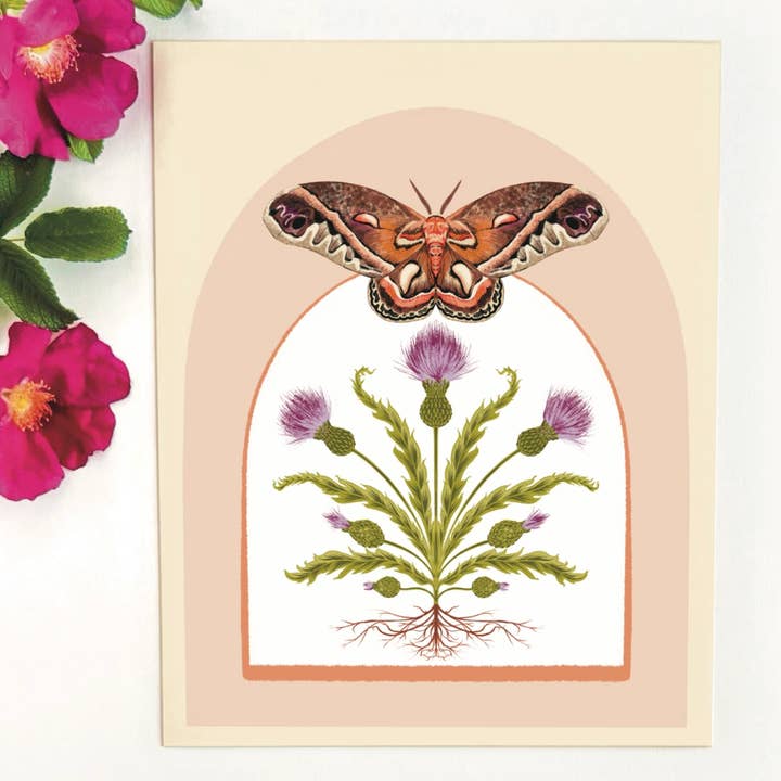 Impression de papillon cécropia et chardon - 8x10 pour la vente par Folk Meadow
