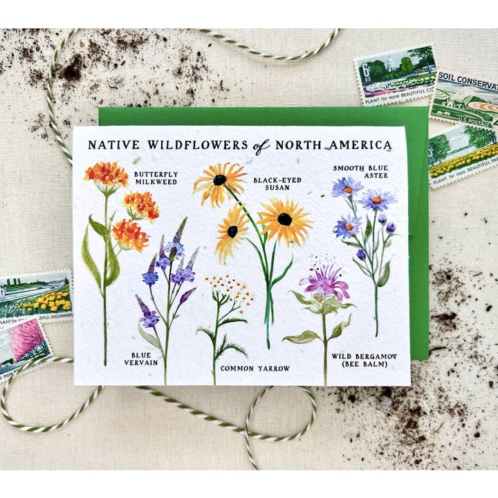 "Wildflowers of North America" NATIVE Wildflower Seed Card for wholesale by Notes of Eden Seed Cards