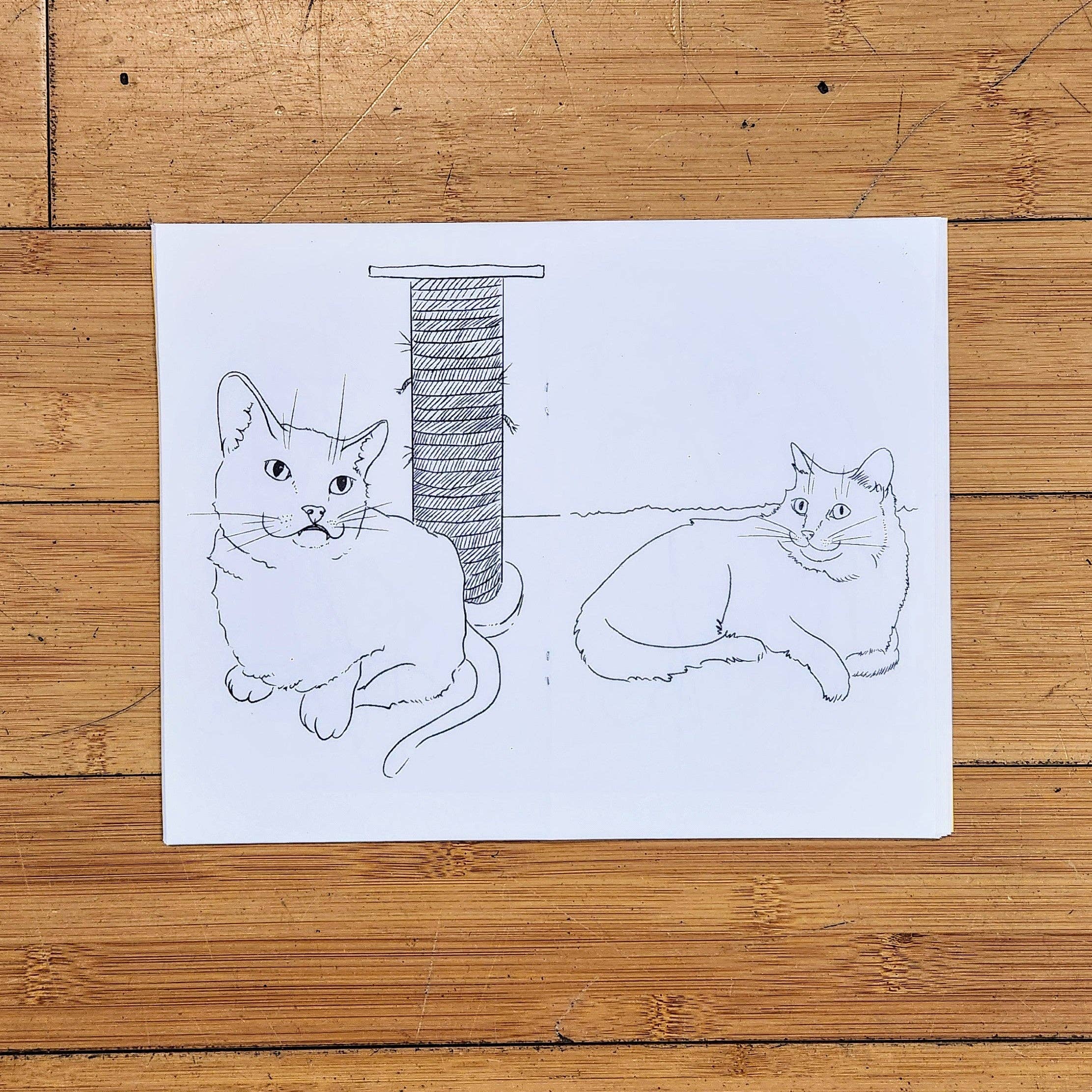 Push/Pull Press – wholesale Målarbok - Barn och baby – Färglägg en kattgrupp: Kattfärgbok av Maxx FG2