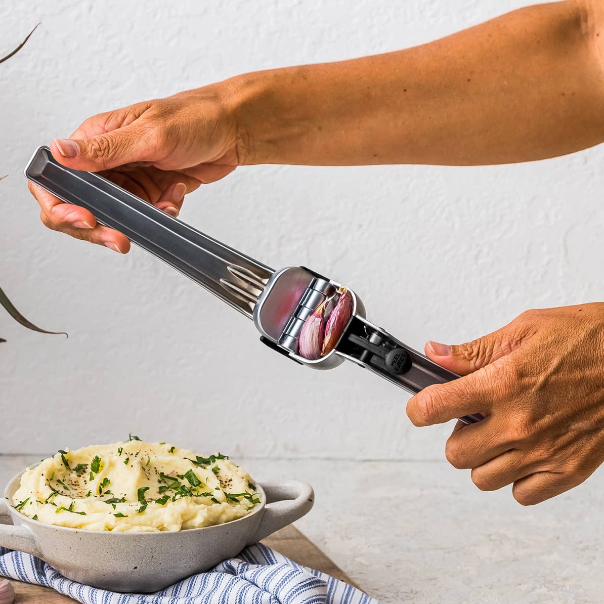 Dreamfarm - Wholesale Kitchen Tool/Gadget - Garject - Garlic Press, Scrape, & Eject1