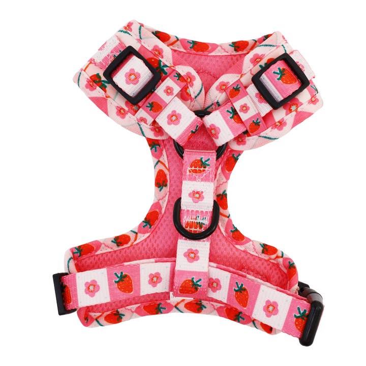 Pablo & Co. Boutique - Wholesale Pet harness – Dog - Strawberry Patch: Adjustable Harness4