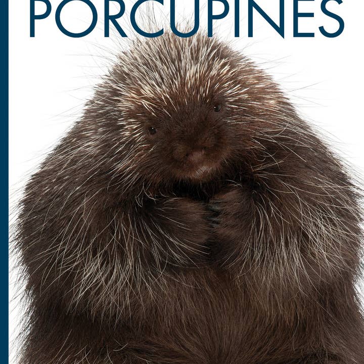 The Creative Company - Wholesale Early Reader Book (6-8) - Porcupines