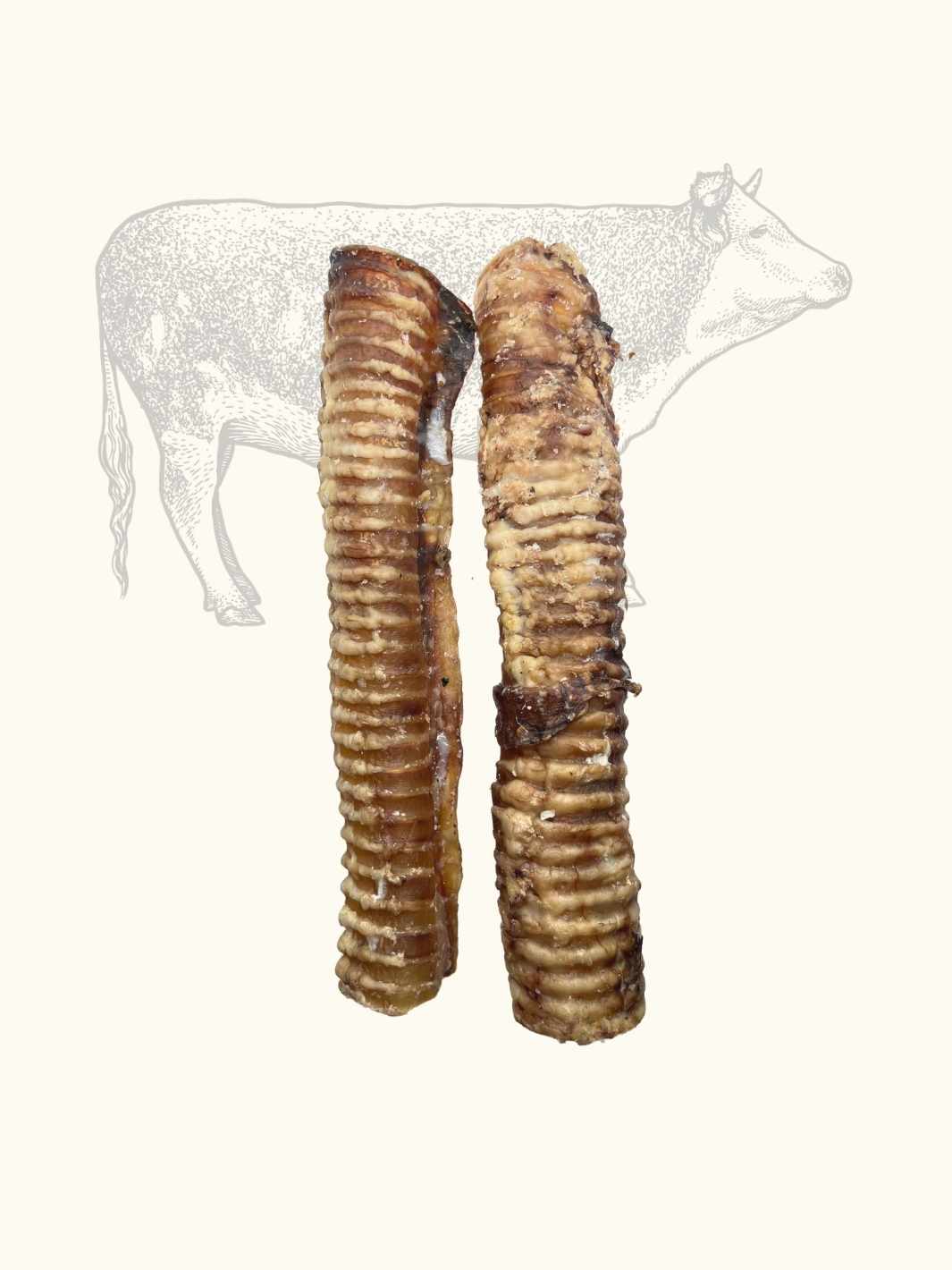 Truffe Délice - Vente Friandises – chien - Trachées de bœuf13