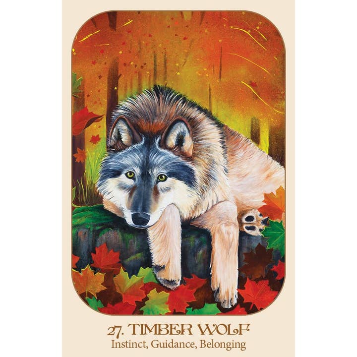 Cardshouse - Wholesale Tarot cards - Animal Voices Oracle Cards Blue Angel1