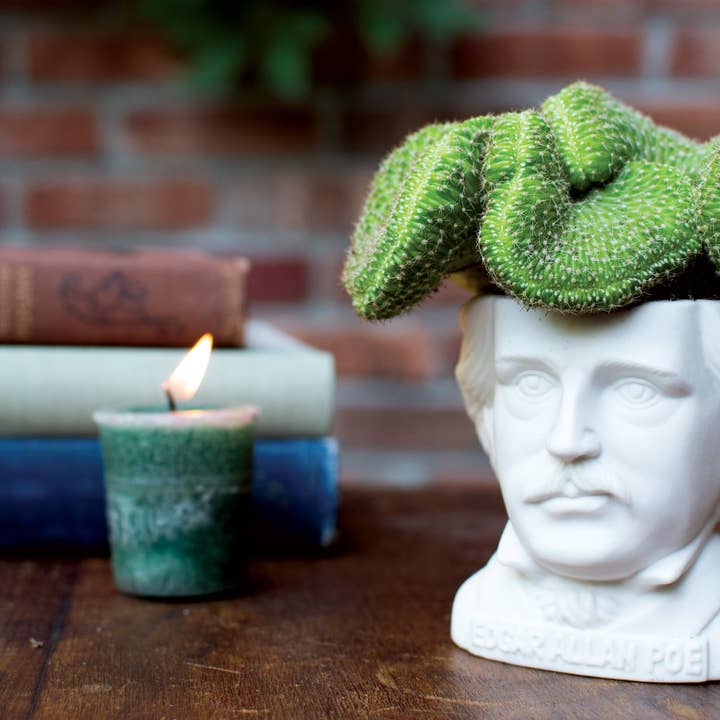 Unemployed Philosophers Guild - Wholesale Plant Pot - Edgar Allan Poe Planter3