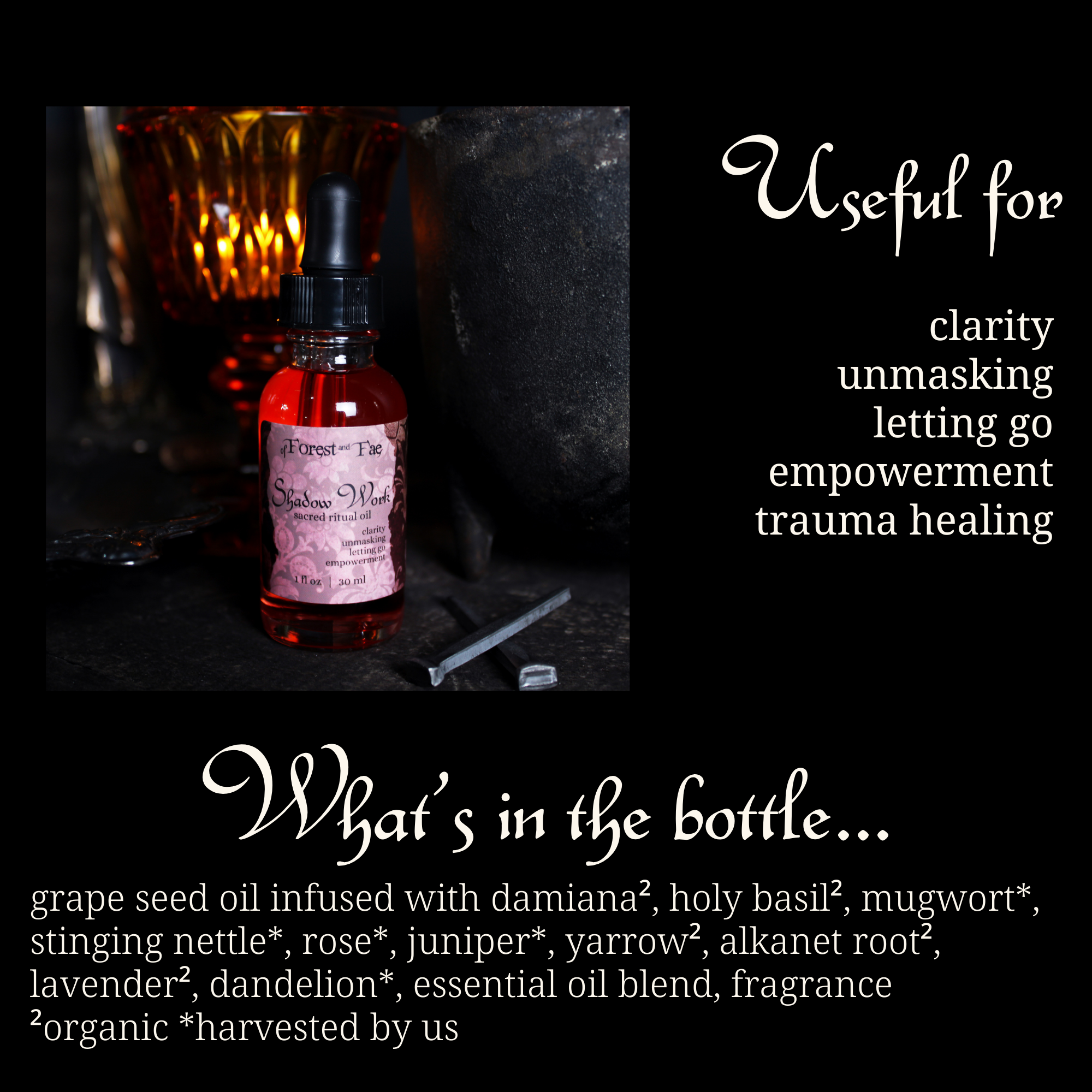 of Forest and Fae - Wholesale Meditation Supplies - Shadow Work Ritual Oil • Herb Infused • Journey Work • Witch2