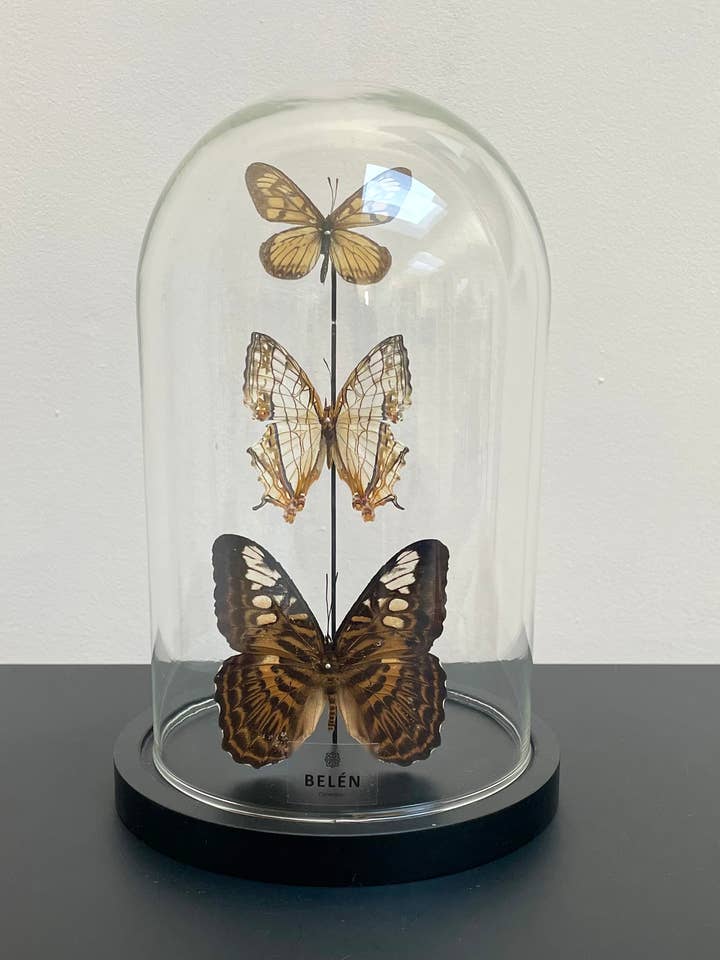 Lomé bell brown tones for wholesale by Belén Collection